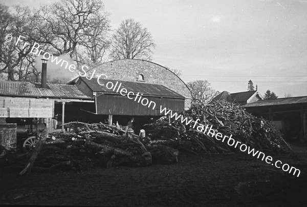 SAWING WOOD IN WARD